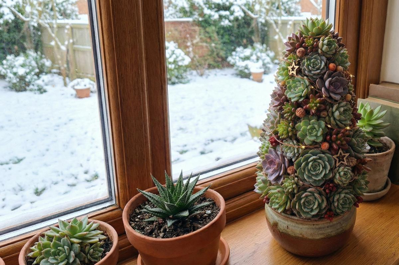 12 альтернатив живой елке на Новый год