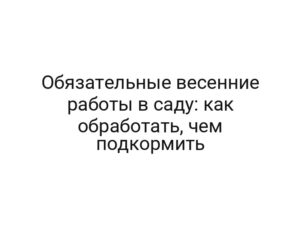 Обязательные весенние работы в саду: как обработать, чем подкормить