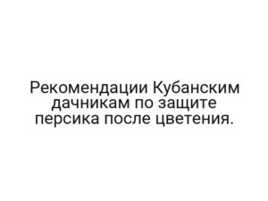Рекомендации Кубанским дачникам по защите персика после цветения.
